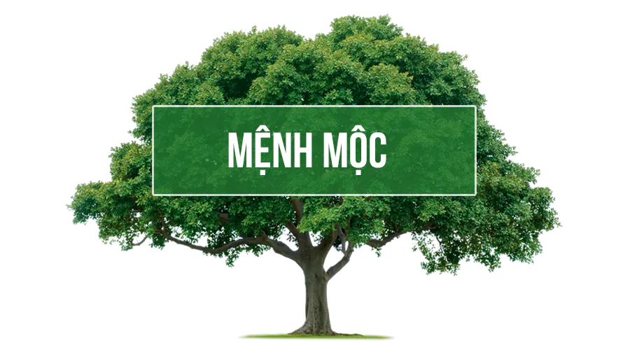 Giới Thiệu Mệnh mộc