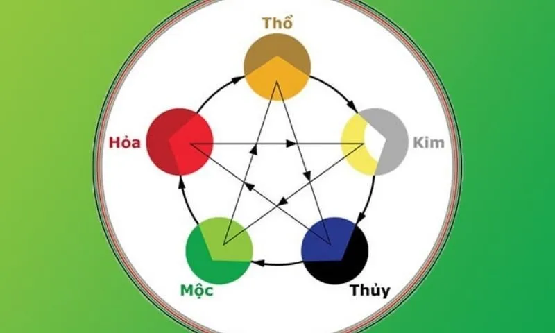 Mệnh gì sinh mộc? Mối quan hệ giữa mệnh Mộc và các mệnh khác