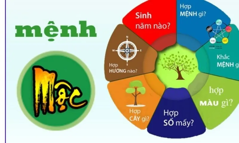 Tương sinh, tương khắc của mệnh Mộc