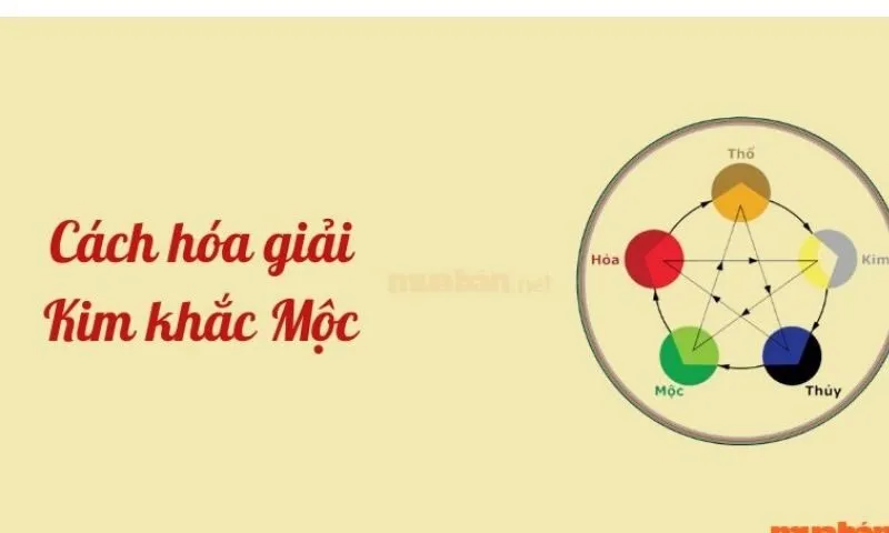 Mệnh Mộc và mệnh Kim có hợp nhau không trong tình yêu?