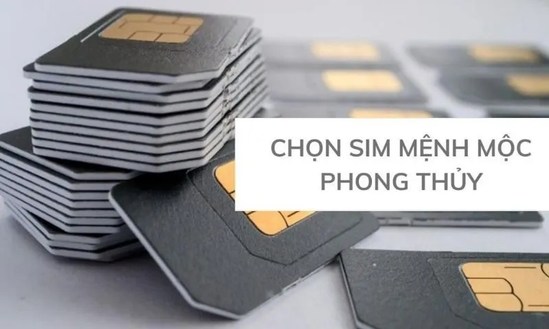 Ý Nghĩa Của Sim Số Trong Phong Thủy