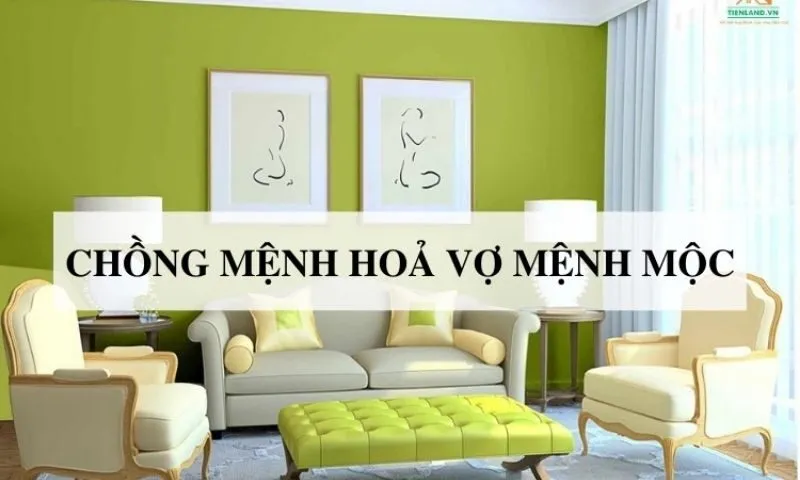 Đặc Điểm Của Mệnh Mộc Và Mệnh Hỏa