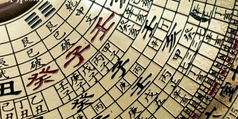 Khái niệm cung phi