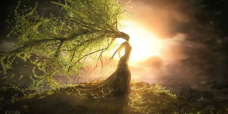 Khái quát hậu vận mệnh mộc