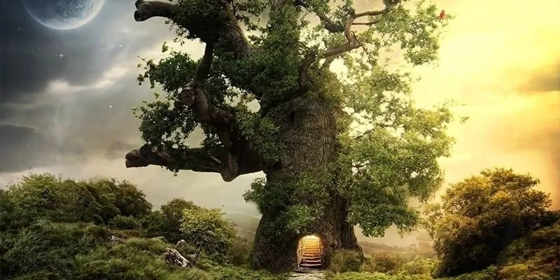 Hậu vận mệnh mộc