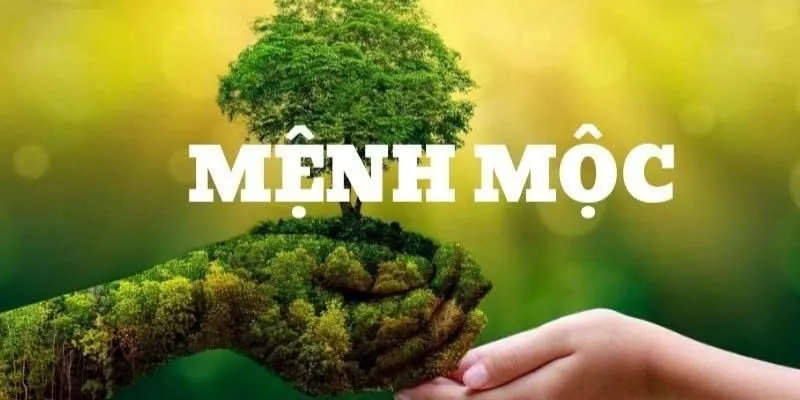 Kỹ năng giao tiếp mệnh mộc