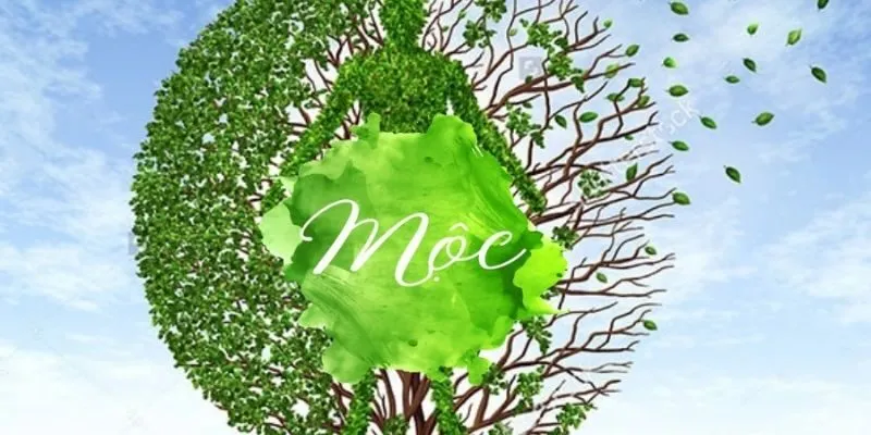 Kiểu người hợp mệnh mộc