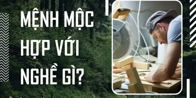 Mệnh mộc làm trái ngành