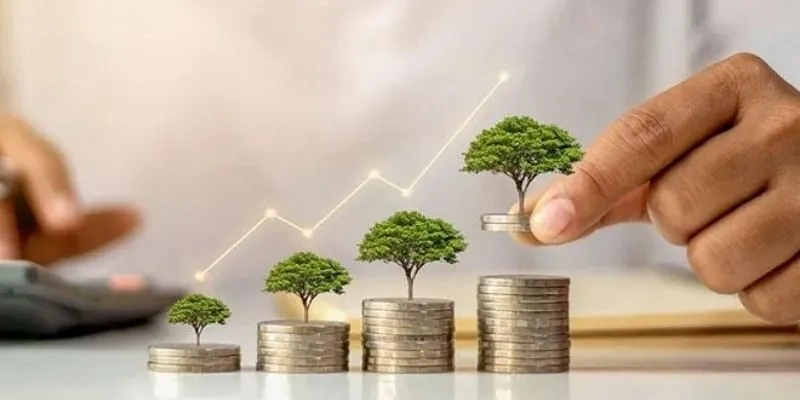 Tư duy tiền bạc của mệnh mộc