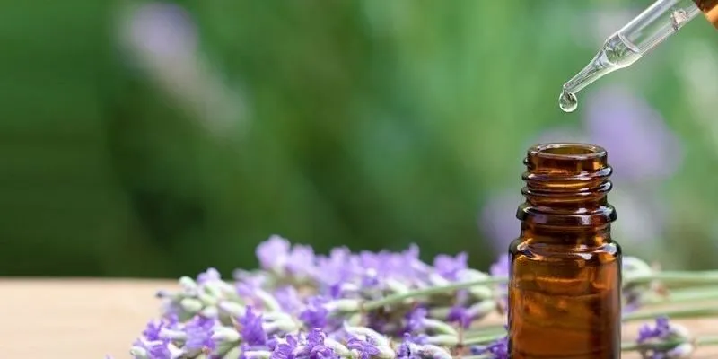 Các loại tinh dầu mệnh mộc