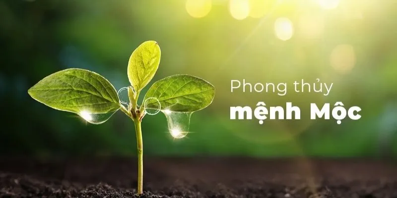 Vận hạn mệnh mộc 2026